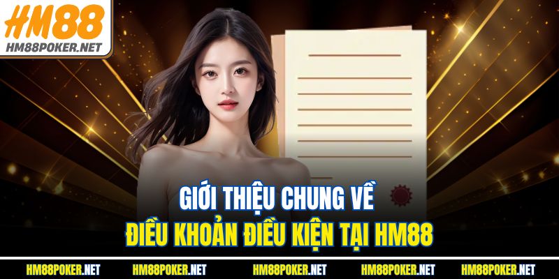 Giới thiệu chung về điều khoản điều kiện tại HM88